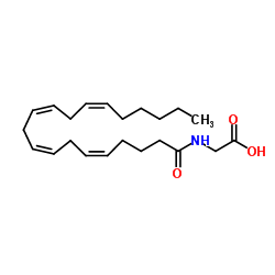 N-Arachidonylglycine structure