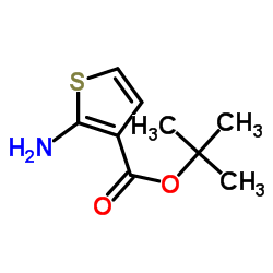 2-氨基噻吩-3-甲酸叔丁酯结构式