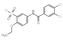 5-(3,4-二氯苯甲酰氨基)-2-乙氧基苯磺酰氯结构式
