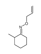 2-methylcyclohexanone oxime O-allyl ether Structure