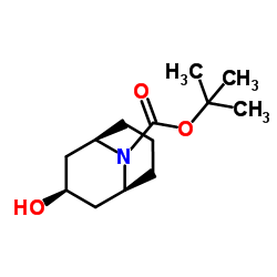 内丁基-3-羟基-9-氮杂双环[3.3.1]壬烷-9-羧酸叔丁酯结构式