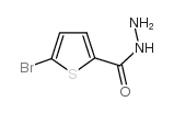 5-Bromothiophene-2-carbohydrazide Structure