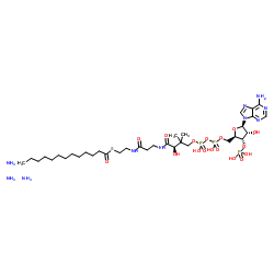 S-{(9R)-1-[(2R,3S,4R,5R)-5-(6-Amino-9H-purin-9-yl)-4-hydroxy-3-(phosphonooxy)tetrahydro-2-furanyl]-3,5,9-trihydroxy-8,8-dimethyl-3,5-dioxido-10,14-dioxo-2,4,6-trioxa-11,15-diaza-3λ5,5λ5-diphosphaheptadecan-17-yl} tridecanethioate triammoniate (non-preferred name) Structure