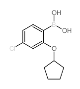 4-氯-2-(环戊基氧基)苯硼酸结构式