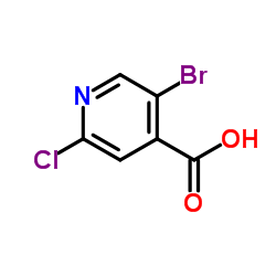 5-溴-2-氯异烟酸图片