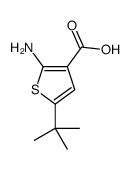 2-amino-5-tert-butylthiophene-3-carboxylic acid Structure