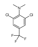 2,6-dichloro-N,N-dimethyl-4-(trifluoromethyl)aniline结构式