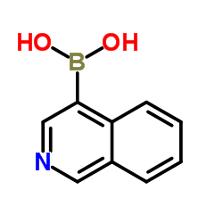 4-异喹啉硼酸结构式