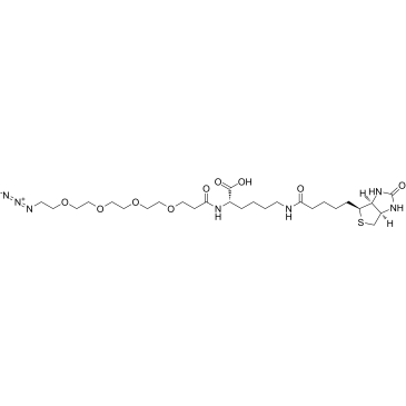 N-(Azido-PEG4)-biocytin Structure