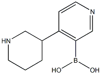 4-(Piperidin-3-yl)pyridine-3-boronic acid Structure