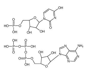 adenosine triphosphate uridine monophosphate structure