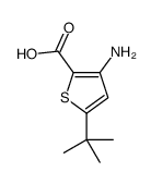 2-Thiophenecarboxylicacid,3-amino-5-(1,1-dimethylethyl)-(9CI) Structure