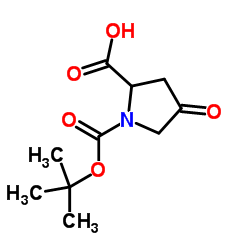 1-叔丁基-4-氧吡咯烷-2-羧酸图片