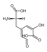4,5-Secodopa (6-amino-2-hydroxy-4-(2'-oxoethylidene)hept-2-enedioic acid)结构式