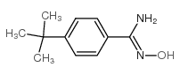 4-叔丁基苯苄胺肟结构式