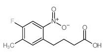 4-(4-Fluoro-5-methyl-2-nitrophenyl)butanoic acid Structure