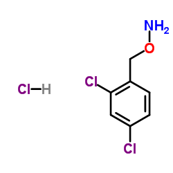 O-(2,4-二氯苄基)羟胺盐酸盐结构式