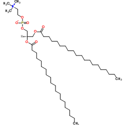 (R)-3-二(二十烷酰基氧基)丙基2-(三甲基铵基)乙基磷酸酯结构式