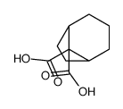 bicyclo[3.2.1]octane-8,8-dicarboxylic acid Structure