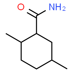Cyclohexanecarboxamide, 2,5-dimethyl- (9CI) Structure