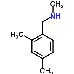 N-(2,4-dimethylbenzyl)-N-methylamine Structure