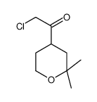 Ethanone, 2-chloro-1-(tetrahydro-2,2-dimethyl-2H-pyran-4-yl)- (9CI)结构式