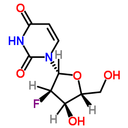 2'-Deoxy-2'-fluorouridine Structure