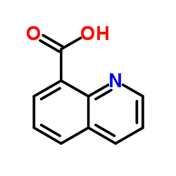 Quinoline-8-carboxylic acid Structure