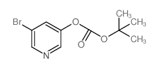 5-溴吡啶-3-碳酸叔丁酯结构式