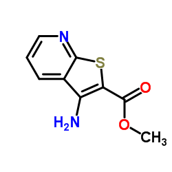 甲基 3-氨噻吩并[2,3-b]吡啶-2-羧酸酯结构式