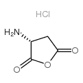 (R)-3-Aminodihydro-furan-2,5-dione hydrochloride Structure