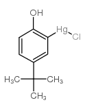 (5-tert-butyl-2-hydroxyphenyl)-chloromercury Structure