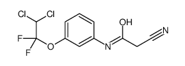 2-cyano-N-[3-(2,2-dichloro-1,1-difluoroethoxy)phenyl]acetamide结构式