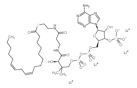 Linoleoyl coenzyme A lithium salt Structure