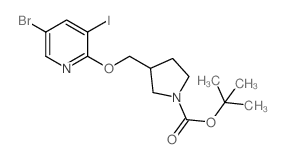 叔丁基3-((5-溴-3-碘吡啶啶-2-酰氧基)甲基)吡咯烷-1-羧酸盐结构式