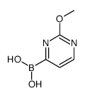 (2-methoxypyrimidin-4-yl)boronic acid Structure