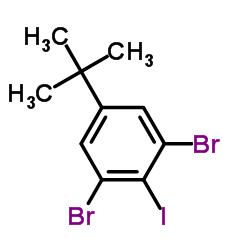 3,5-Dibromo-4-iodo-tert-butylbenzene Structure