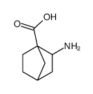 Bicyclo[2.2.1]heptane-1-carboxylic acid, 2-amino- (9CI)结构式