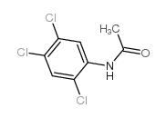 N-(2,4,5-trichlorophenyl)acetamide Structure