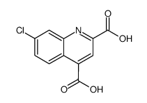 7-chloroquinoline-2,4-dicarboxylic acid Structure