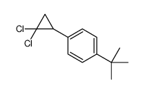 1-tert-butyl-4-(2,2-dichlorocyclopropyl)benzene结构式