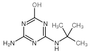 4-Amino-2-hydroxy-6-tert-butylamino-1,3,5-triazine picture