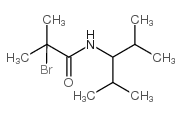 N1-(1-异丙基-2-甲基丙基)2-溴-2-甲基丙酰胺结构式