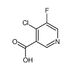 4-chloro-5-fluoropyridine-3-carboxylic acid Structure