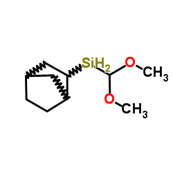 2-(dimethoxymethylsilyl)-bicyclo[2,2,1]heptanes structure