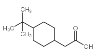 4-tert-Butylcyclohexyl acetic acid picture