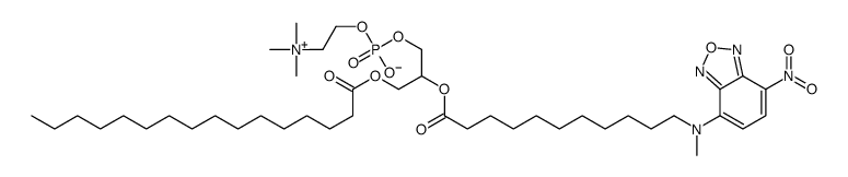 1-palmitoyl-2-(12-((7-nitro-2,1,3-benzoxadiazol-4-yl)amino)dodecanoyl)phosphatidylcholine structure