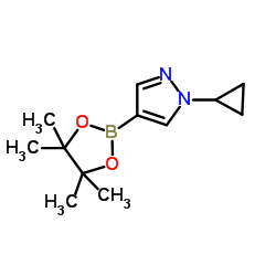 1-Cyclopropyl-4-(4,4,5,5-tetramethyl-1,3,2-dioxaborolan-2-yl)-1H-pyrazole structure