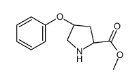 (2S,4S)-4-苯氧基-2-吡咯烷甲酸甲酯结构式