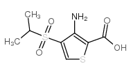 3-AMINO-4-(ISPROPYLSULFONYL)THIOPHENE-2-CARBOXYLIC ACID Structure
